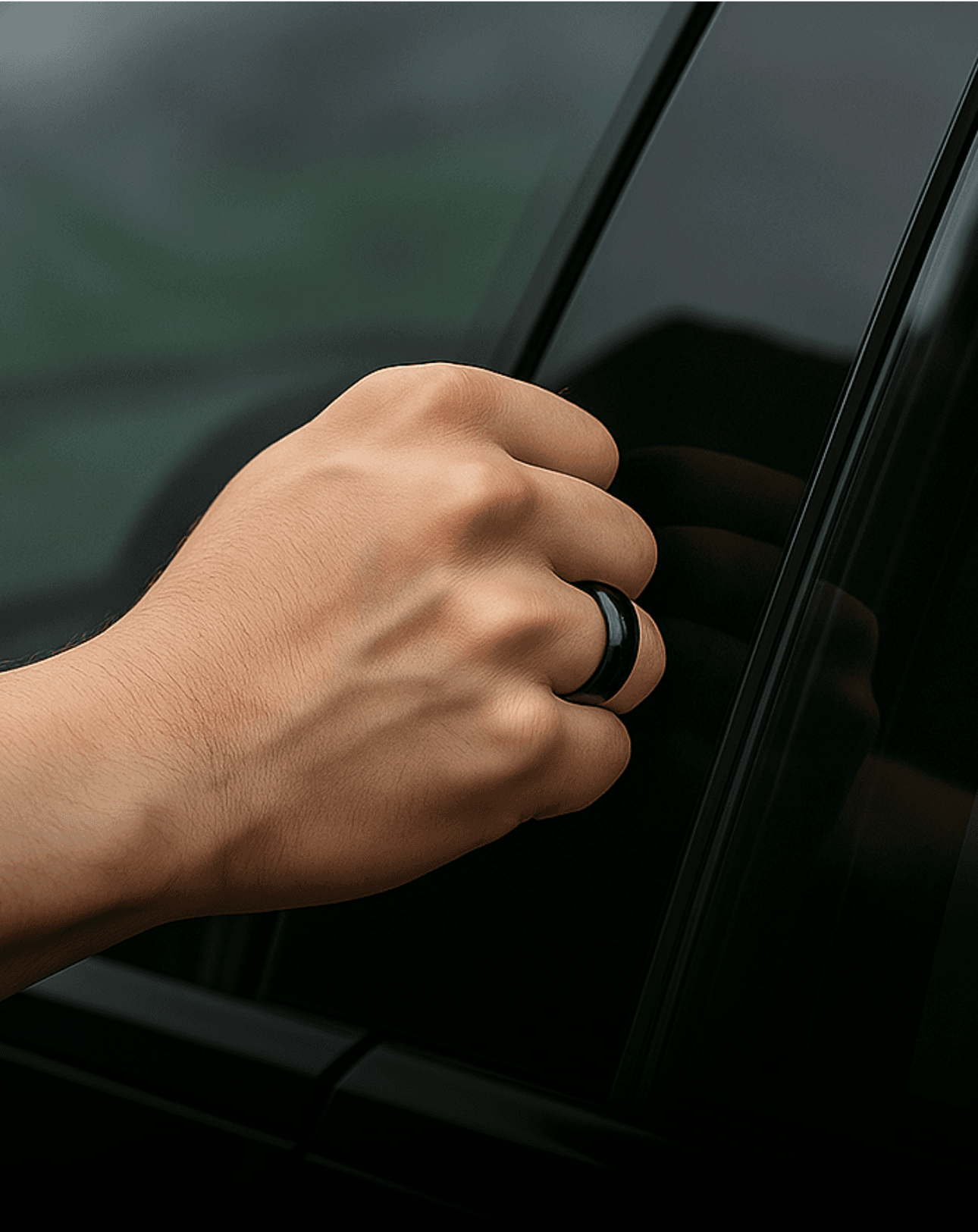 Discover Zobe Drive